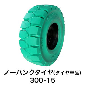 tH[Ntgpm[pN^Cy300-15 zC[ ^CPi 1{zΐF