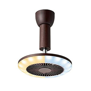 DSLH60CDW T[LCg dF`F FEؖڒ |V[O Rt