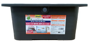 eg (Tetra) 傤ŃLC_J 40×40 F琬O[