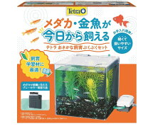 楽天市場】テトラ アクアリウムセット ag－52gfの通販
