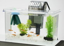 楽天市場】熱帯魚 水槽セット（その他｜ペット・ペットグッズ）の通販