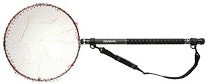 _C(DAIWA) ʖ fBO|[ 2 ʖ60-60.
