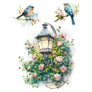 Hikosiya EH[XebJ[ Jt  KN X  CeA Ƌ Ɠd LYB XebJ[ ֊V[ k _A[g  ֊ ǎV[   gC XebJ[ DIY