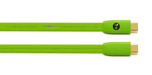 NEO by OYAIDE Elec d+ USB Type-C to C class B 2.0m USBP[u