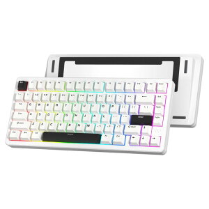 Womier SK75 Q[~OL[{[h