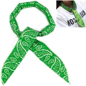 [parakeet] p^I lbNN[[ T}[XJ[t pObY  Ђ M ΍ t[TCY