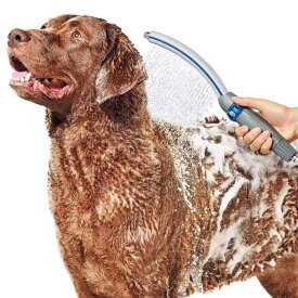 シャワーヘッド 生活雑貨 ペット用 犬 猫 ブラシ付き マッサージ バス用品 お風呂 グッズ 洗浄 ケア 便利 アイテム シンプル ベーシック スタンダード 定番 快適 リラックス