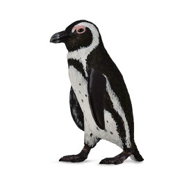 ケープペンギン