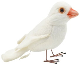シロブンチョウ ぬいぐるみ 13
