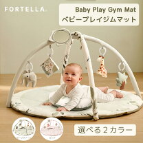 楽天市場】プレイジム（素材（おもちゃ）プラスチック）（ベビー向け 