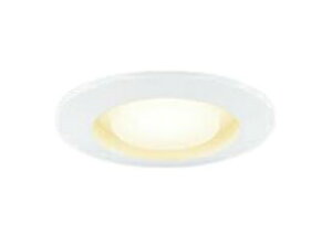 LEDD85920(W) ���� LED�_�E�����C�g 100��(100�p�C)
