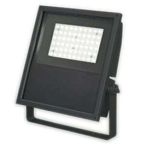 BVP431_130WWFMByŁzyHKvzLED`p`