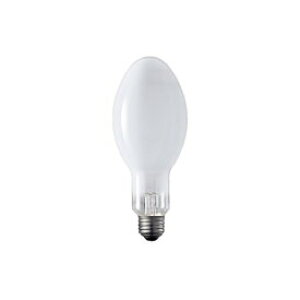 �p�i�\�j�b�N �u�����ⓔ HF80X/N ����E26 80W