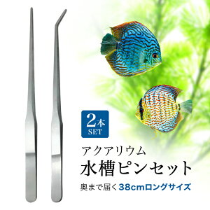 psZbg 2{Zbg O 38cm Xg[g J[u XeX v a eiX  n[oE sZbg O p ANAE  ZbeBO g~
