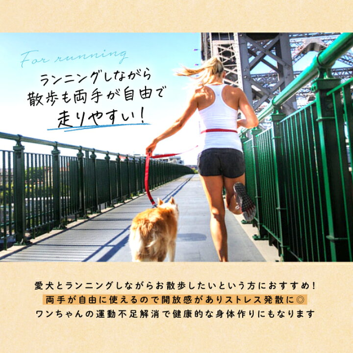 送料無料 ハンズフリーリード 肩かけ 腰かけ お出掛け 犬用品 お散歩 ジョギング フリーハンド リーシュ