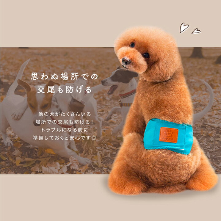 楽天市場 楽天1位 犬用マナーベルト 犬用マナーバンド 犬用オムツカバー 犬用おむつカバー ドッグウェア ドッグウエア トイレ おしっこ失敗 オシッコ失敗 シンプル しつけ マーキング防止 介護用品 介護グッズ お出かけ Gutto楽天市場店