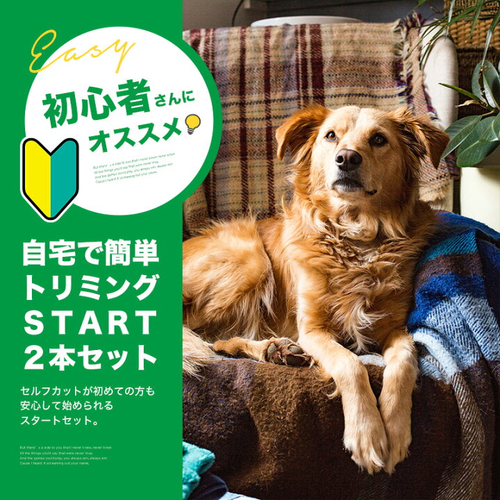 楽天市場 楽天1位 トリミングシザー トリミング ハサミ 犬 2本セット カット セニングシザー ペット用シザー 丸い先端 安全 高品質 犬 猫 ペット用品 はさみ 入門セット Gutto楽天市場店 楽天市場 楽天1位 トリミングシザー トリミング ハサミ 犬 2本セット カット セニングシザー ペット用シザー 丸い先端 安全 高品質 犬 猫 ペット用品 はさみ 入門セット Gutto楽天市場店