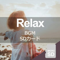 楽天市場】音楽 用 sd カード（CD・DVD）の通販 
