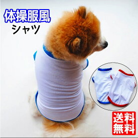 楽天市場 犬 体操 服の通販