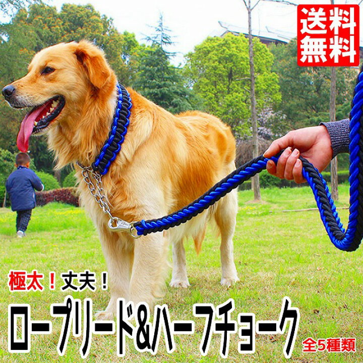 楽天市場 犬 リード ロープ 首輪 極太 ペット ドッグ ハーフチョーク チョーカー 編込み 大型犬 中型犬 小型犬 散歩 カジュアル トレーニング 訓練 M L Xl ロープ ブラック ブルー レッド パープル フォルティッシモ 楽天市場店
