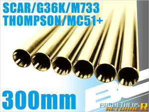 LAYLAX BCuCgoy300mmzAA-12EHK417ESCAREG36KEV[EMC51+p CNX JX^p[c