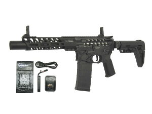 LiPoobe[Zbg CAT dK CAT-02 C.A.T.AR-15 Legend 8.5h