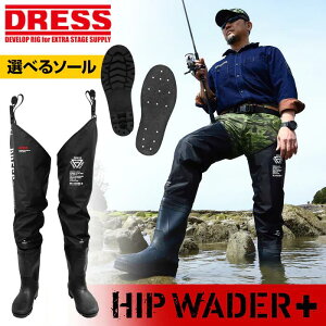 DRESS qbvEF[_[+(vX) WA/tFgXpCN CNX  AEghA ނ  LAYLAX hX