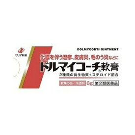 【第(2)類医薬品】ドルマイコーチ軟膏 6g [【メール便(送料込)】※代引・日時・時間・同梱は不可]