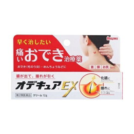 【第2類医薬品】オデキュアEX 12g [【メール便(送料込)】※代引・日時・時間・他の商品と同時購入は不可]