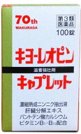 【第3類医薬品】キヨーレオピンキャプレット4 100錠 [【ゆうパケットパフ・置き配専用(送料込)】・他の商…