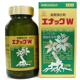 【第3類医薬品】エナックW 540錠（湧永製薬）