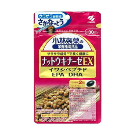 【健食】小林製薬 ナットウキナーゼEX 60粒 [【メール便(送料込)】※代引・日時・時間・同梱は不可]