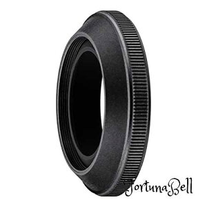 Nikon Yt[h HN-42 NIKKOR Z DX 24mm f/1.7i