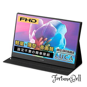 ACXI[} oCj^[ 15.6C` IPSpl ILD-A16262KS-B y USB Type-C