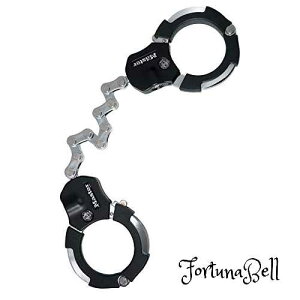 Master Lock (マスターロック) カフロック 8290JADPS 長さ5cm