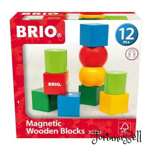 BRIO uI }OlbgJ[݂ 30435 ݂AubN 12