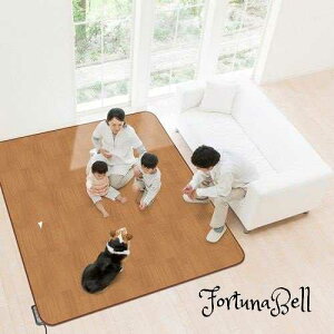 zbgJ[ybgJo[ƂĂg!!h~J[ybg BR(ؖ) AHW-1003 HH 200cm*250cm 3p