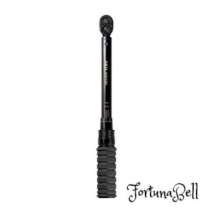 SK11 �v���Z�b�g�^�g���N�����` �����p9.5mm 10*60N�Em STR3-60