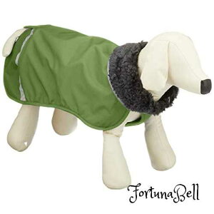 FFO[ TCYF40 Pomppa(|bp) yX |bp O[ 40