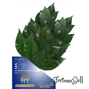 A&K v~A  vU[uh (MTCY֗tʔ / 1 / 񍂂34cm x 14cm) OgY ֗tgp _I p 