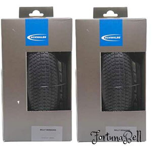 FFubN 2{Zbg SCHWALBE(Vx) BILLY BONKERS 26x2.10(54-559) ADDIX tH[fBO Folding [sAi]