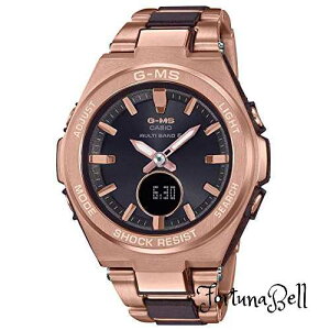 [JVI] rv xr[W[ G-MS dg\[[ MSG-W200CG-5AJF fB[X sN