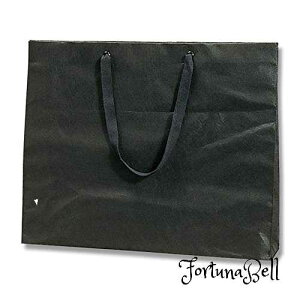 FFsDz  TCYF520×}`100×420mm wCR[ 񂰑 t@bVobO sDz  L 52x10x42cm 10