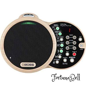 BOSS �{�X/DR-01S Rhythm Partner