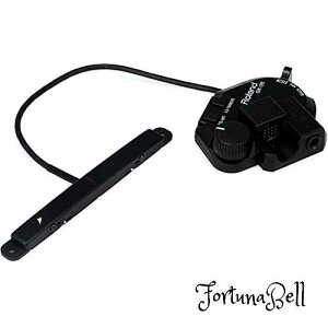 Roland [h x[XpfoCfbhEsbNAbv GK-3B