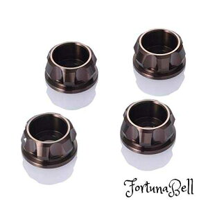 FFuY TCYFM6 fCgi(Daytona) PREMIUM ZONE(v~A][) oCNp Lbv{gJ[ M6 uY 4 91924