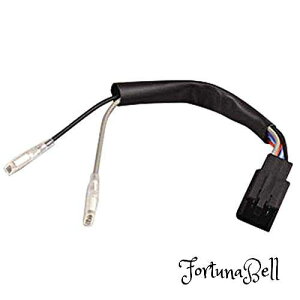 fCgi(Daytona) oCNp ECJ[[ 9Pϊn[lX z_p 69637