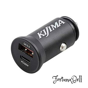 LW}(Kijima) oCNp[c USBϊA_v^[ USB`[W[ 12VVK[\Pbg^Cv 2|[g ^CvA&^CvC 304-6222