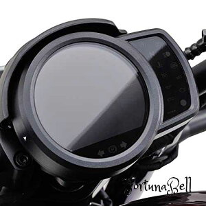 fCgi(Daytona) oCNp [^[یtB u1100/DCT/T(21-23) [^[veNVtB 98521 NA