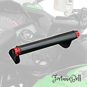 FFbh fCgi(Daytona) oCNp Nvo[ Ninja250/250Rp }`o[z_[ bh 17868